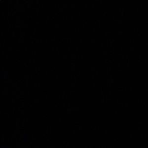 Meet your Posher, Blake